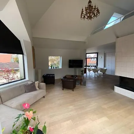 Les Murmures Des Toits - Hypercentre - Garage Prive 公寓 科尔马