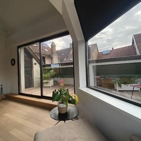 Les Murmures Des Toits - Hypercentre - Garage Prive 아파트 *