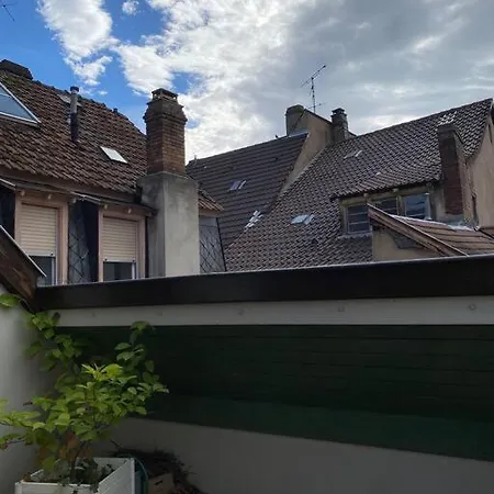 Les Murmures Des Toits - Hypercentre - Garage Prive 公寓