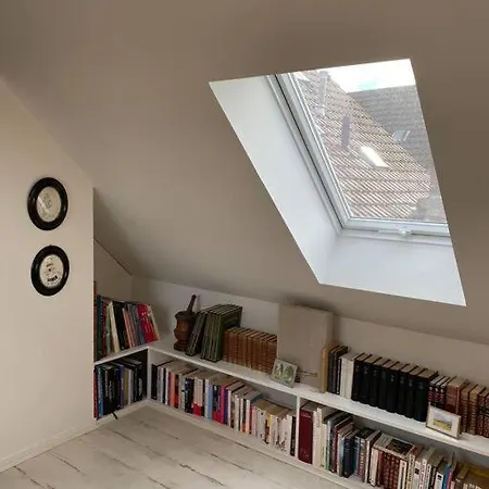 公寓 Les Murmures Des Toits - Hypercentre - Garage Prive 科尔马