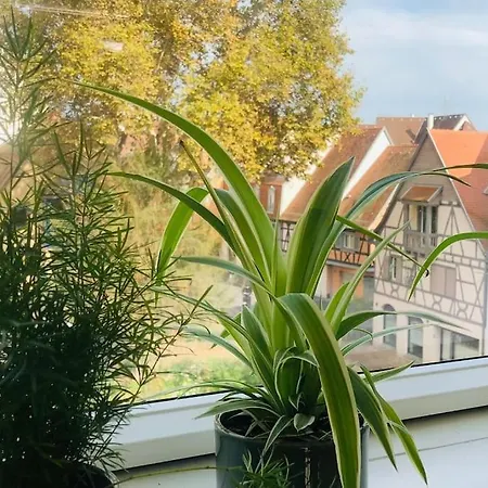 Les Murmures Des Toits - Hypercentre - Garage Prive